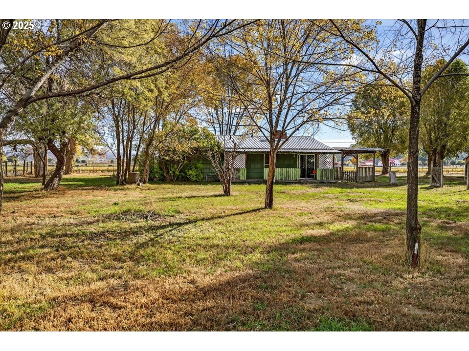 a view of swimming pool with trees