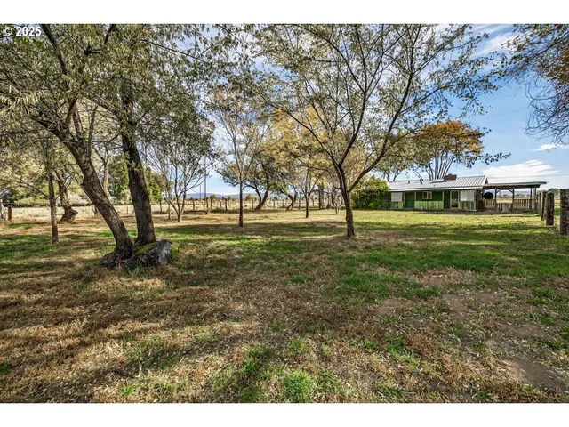 a view of a big yard with trees