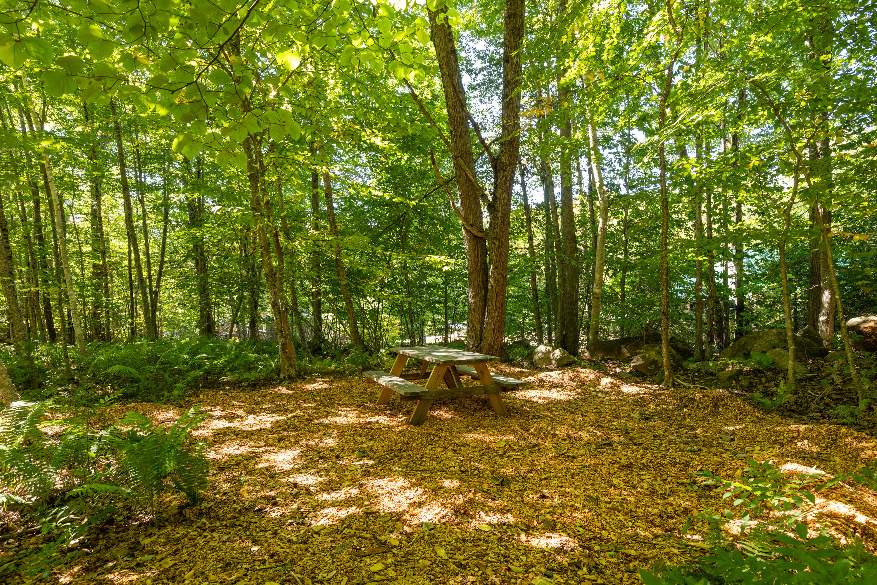 254 Orrills Hill Road Lebanon, ME 04027 - Photo 42 of 57 LaBrie-Media-Photos-39