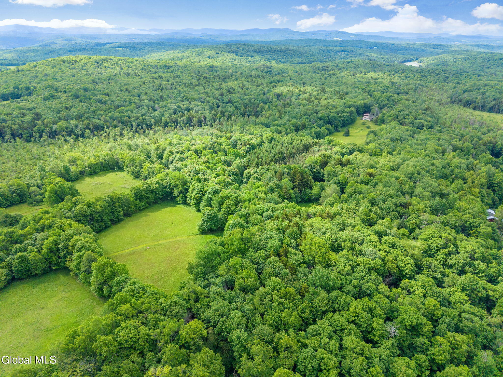 615 Arabia Road Summit, NY 12175 - Photo 48 of 51 48-615ArabiaRd_48
