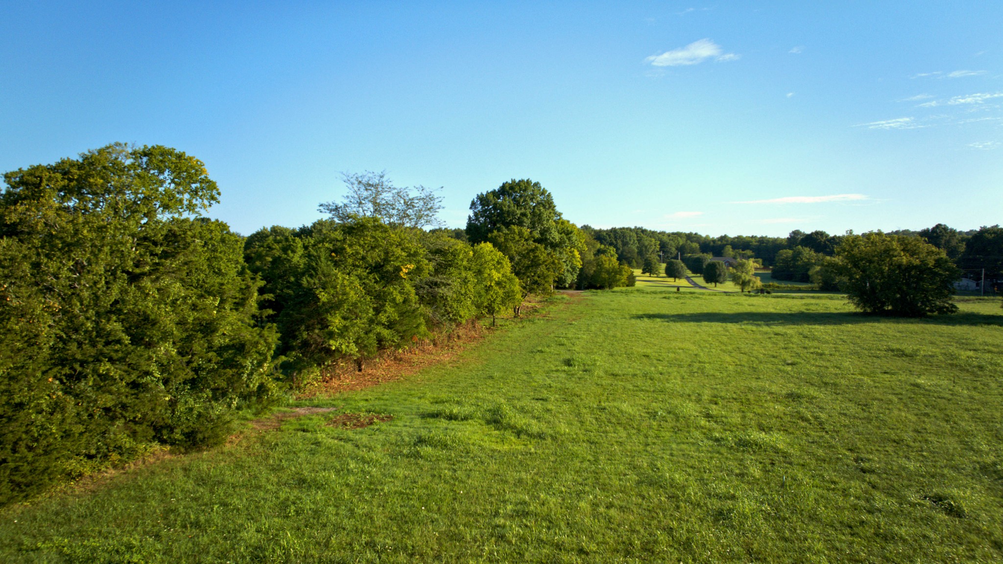 1714 Hamilton Chambers Road Lebanon, TN 37087 - Photo 5 of 8 a view of a grassy area with an trees