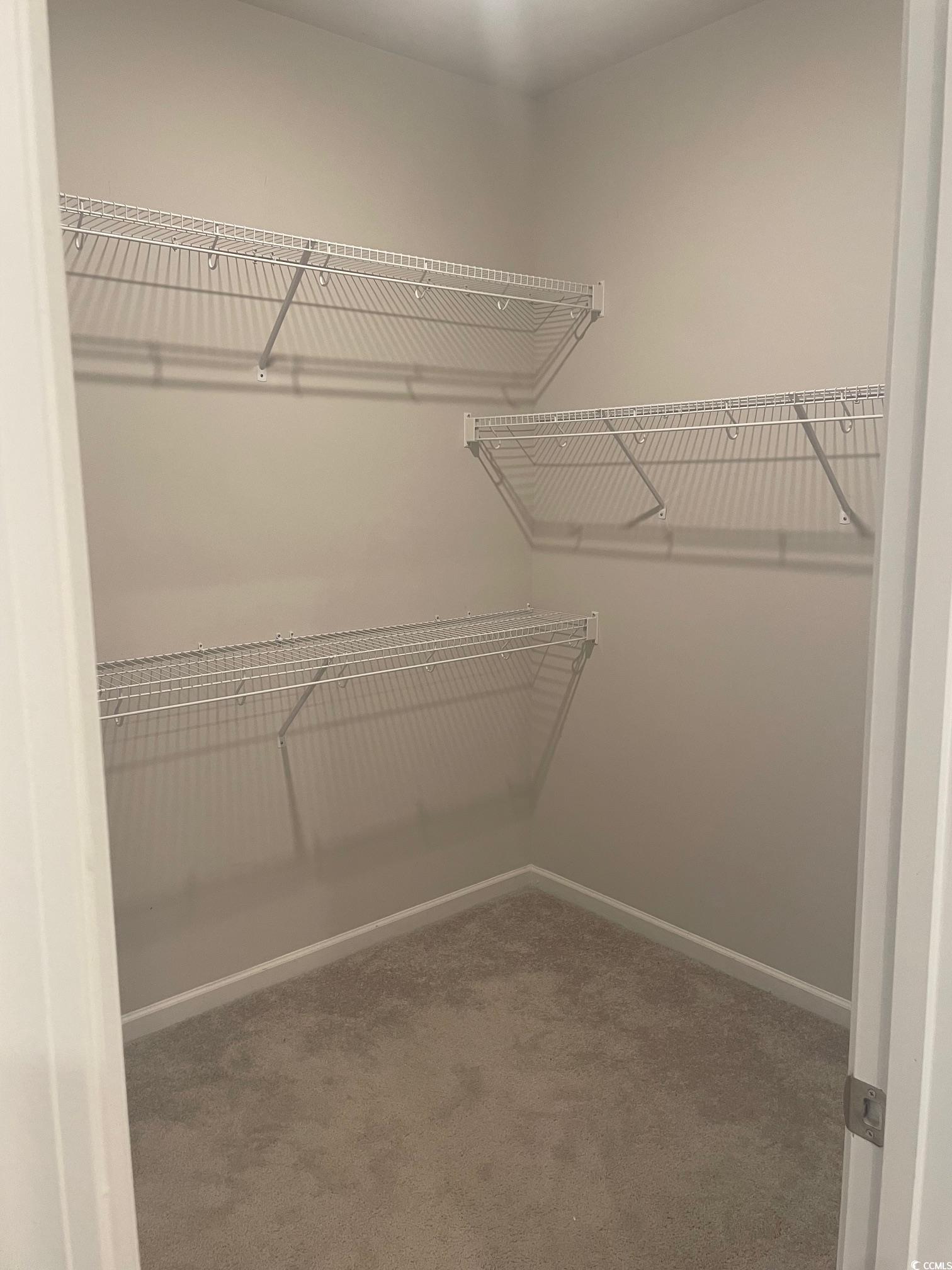 61 S Reindeer Road South Surfside Beach, SC 29575 - Photo 10 of 10 Walk in closet featuring light colored carpet