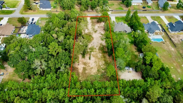 a view of a yard with plants