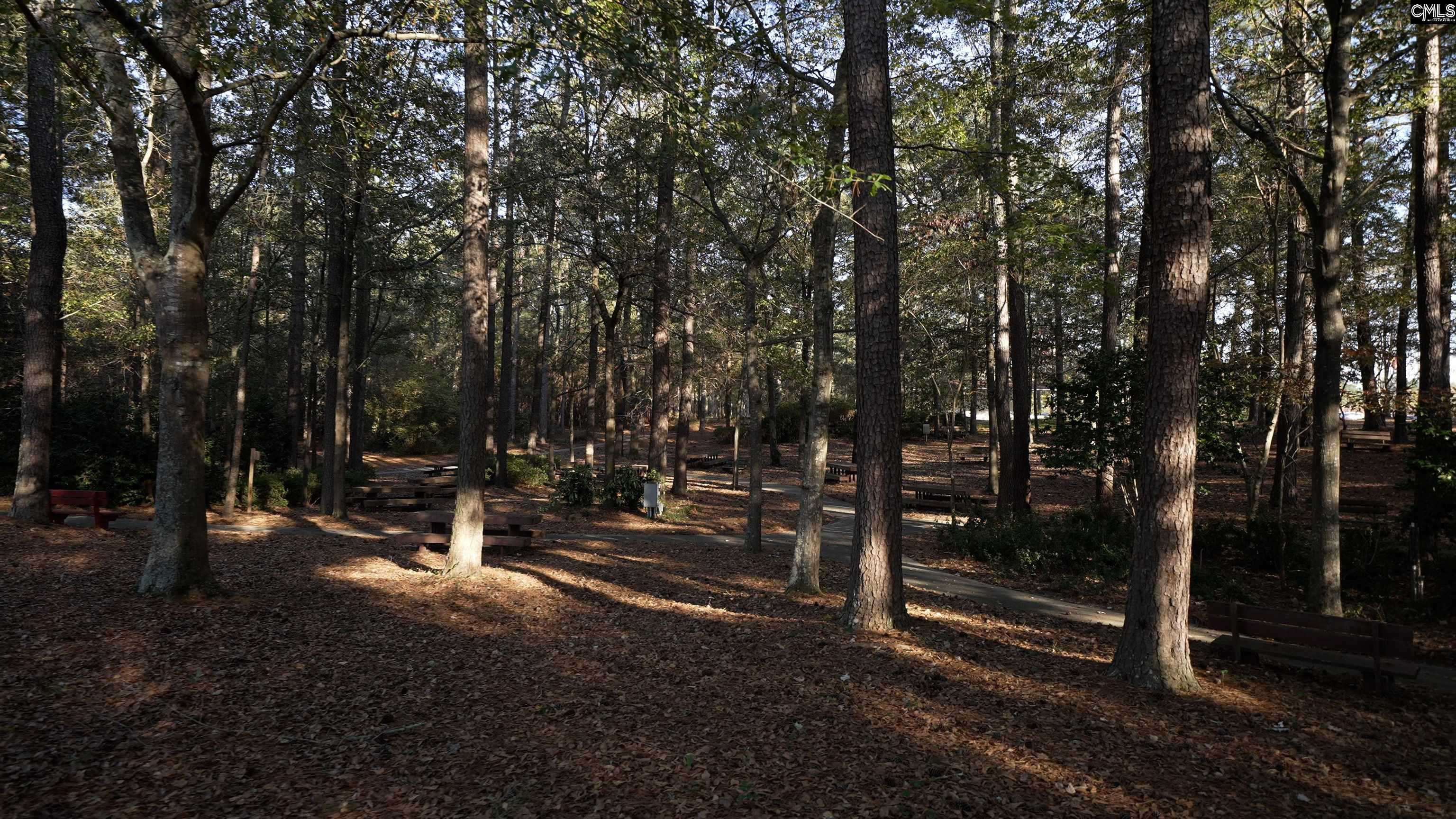770 Ben Gunn Run Gilbert, SC 29054 - Photo 16 of 16