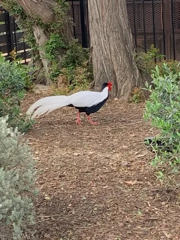 $8,995,000 | 2173 Orchard Drive, Newport Beach, CA 92660