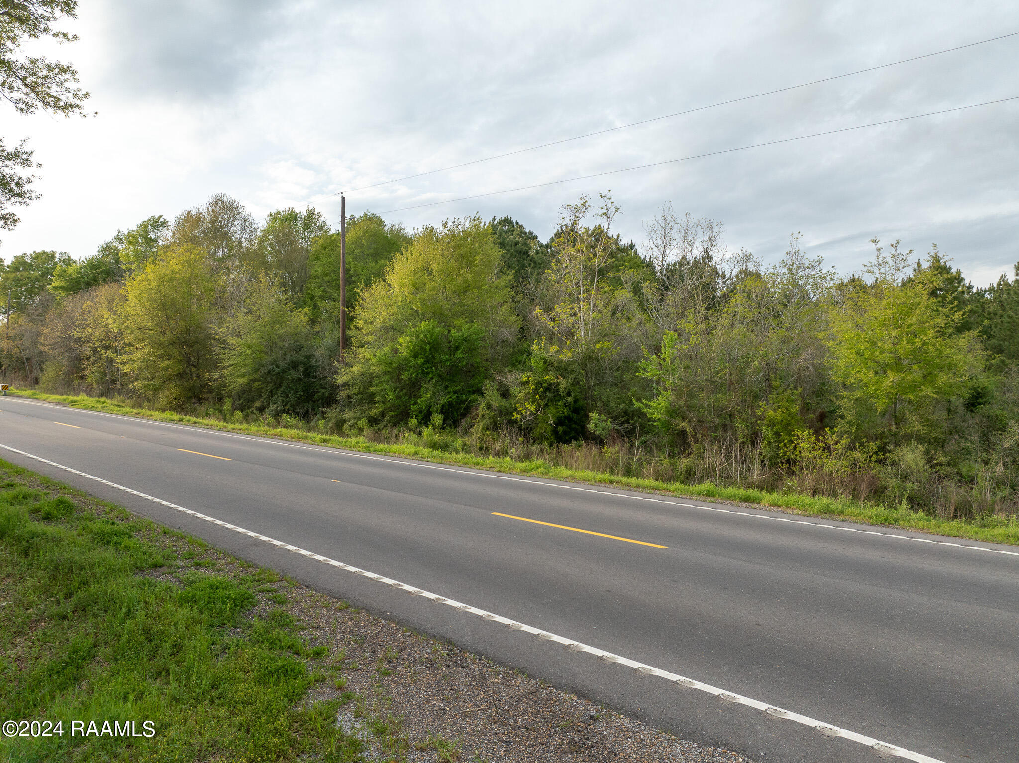 Tbd Richard School Road Branch, LA 70516 - Photo 11 of 19 DJI_0992