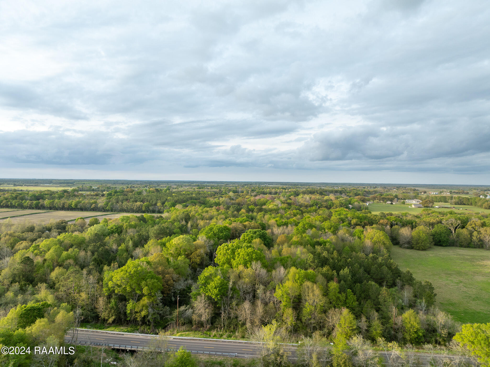 Tbd Richard School Road Branch, LA 70516 - Photo 14 of 19 DJI_0995