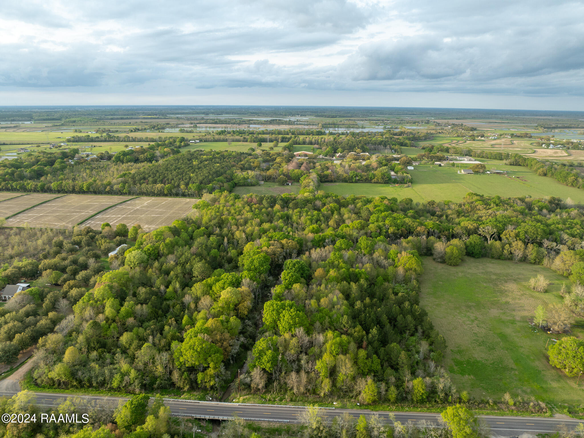 Tbd Richard School Road Branch, LA 70516 - Photo 15 of 19 DJI_0996