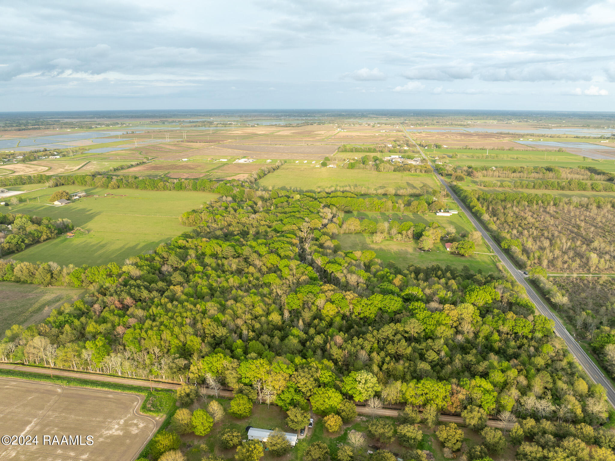 Tbd Richard School Road Branch, LA 70516 - Photo 18 of 19 DJI_0998