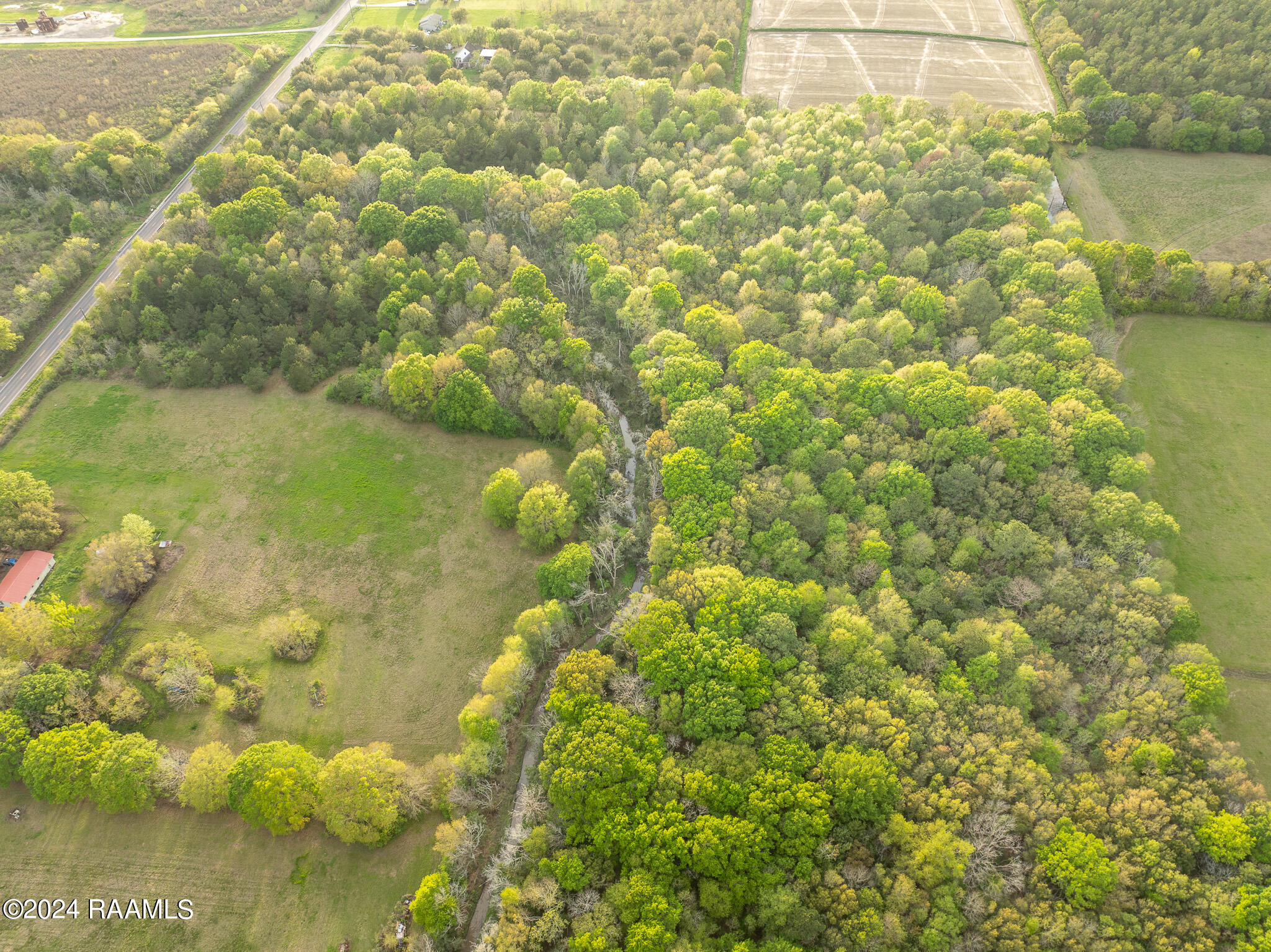 Tbd Richard School Road Branch, LA 70516 - Photo 4 of 19 DJI_0006