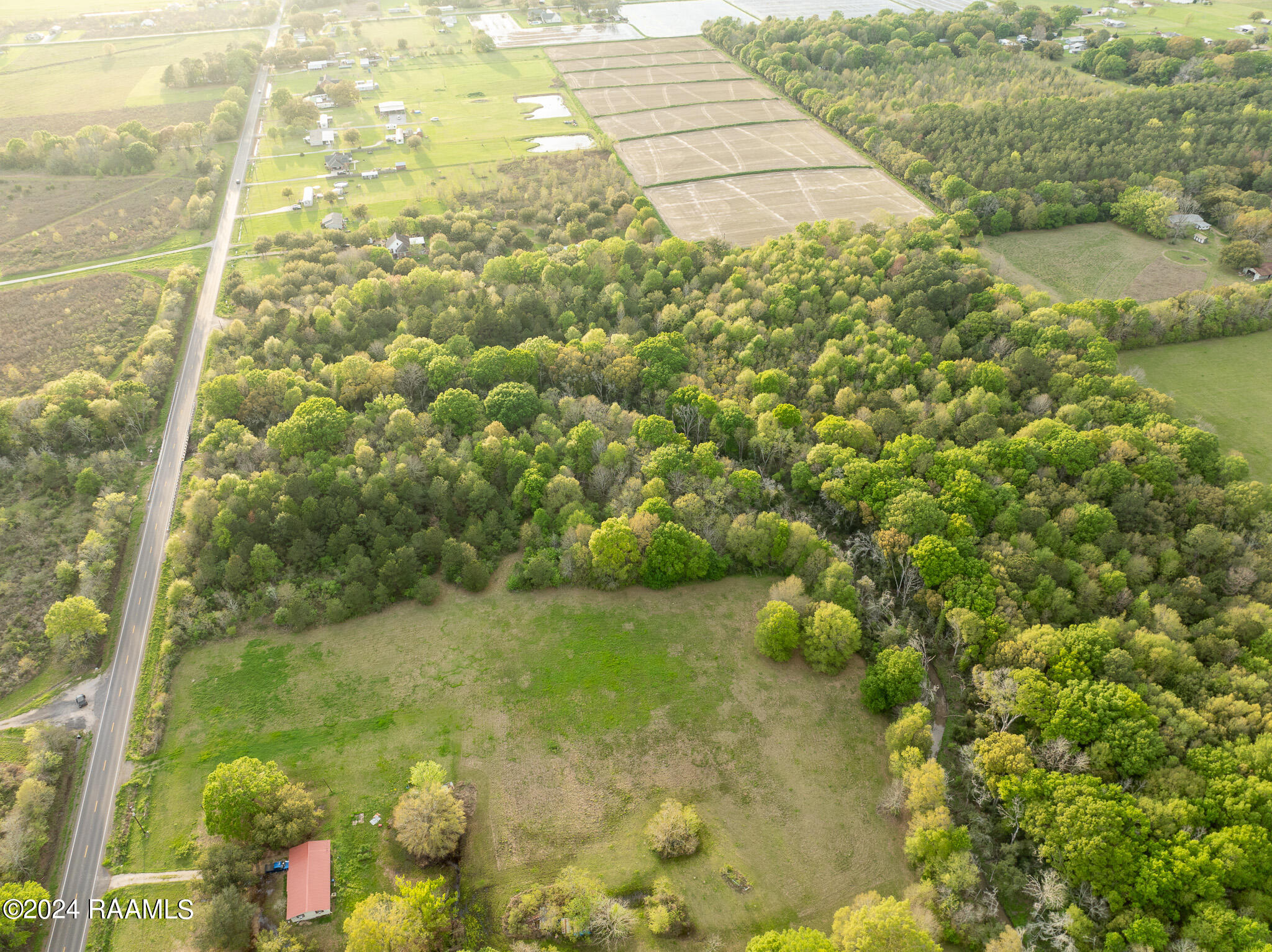 Tbd Richard School Road Branch, LA 70516 - Photo 5 of 19 DJI_0007