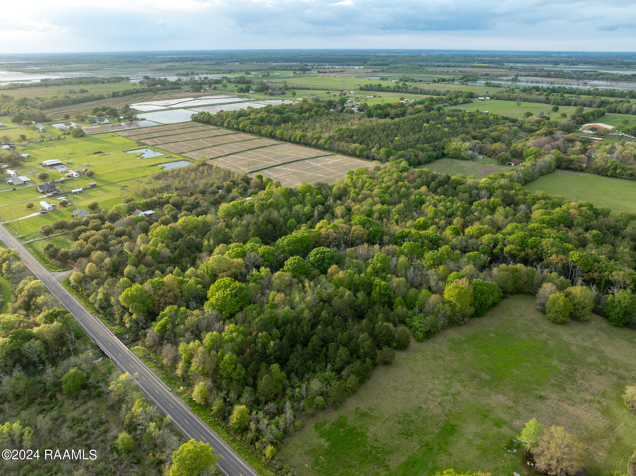 Tbd Richard School Road Branch, LA 70516 - Photo 6 of 19 DJI_0009