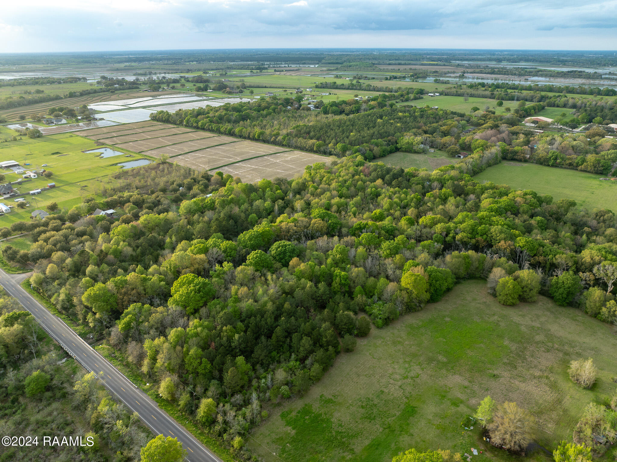 Tbd Richard School Road Branch, LA 70516 - Photo 7 of 19 DJI_0010