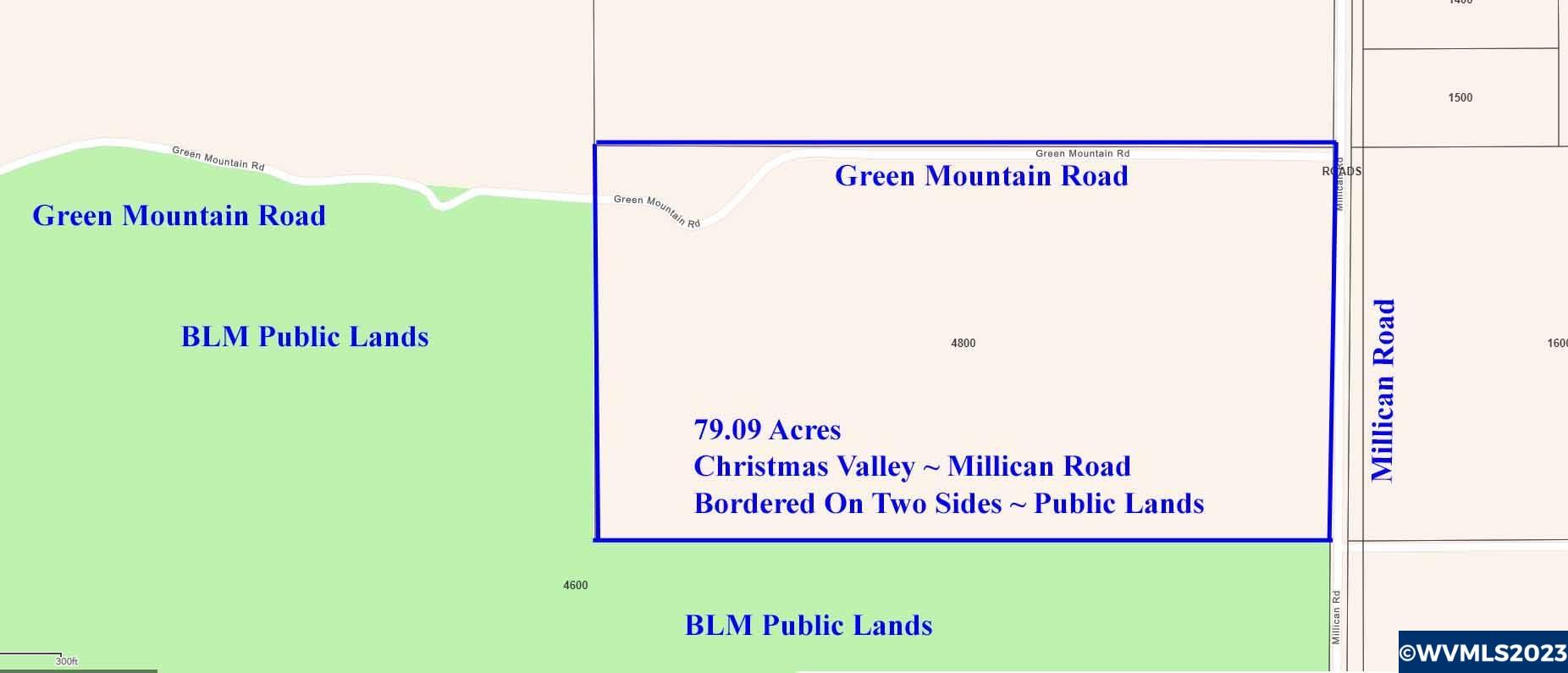 0 Millican Road Christmas Valley, OR 97641 - Photo 10 of 11