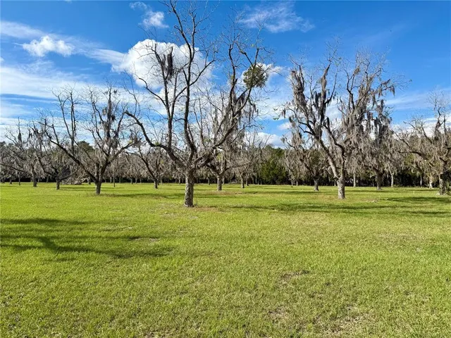 a room with furniture and wooden floor