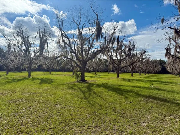 a bathroom with a sink and toilet