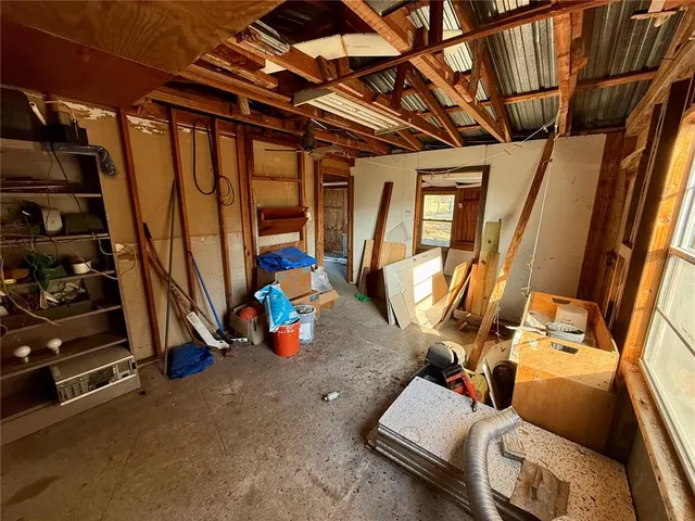 a view of a tree in a yard