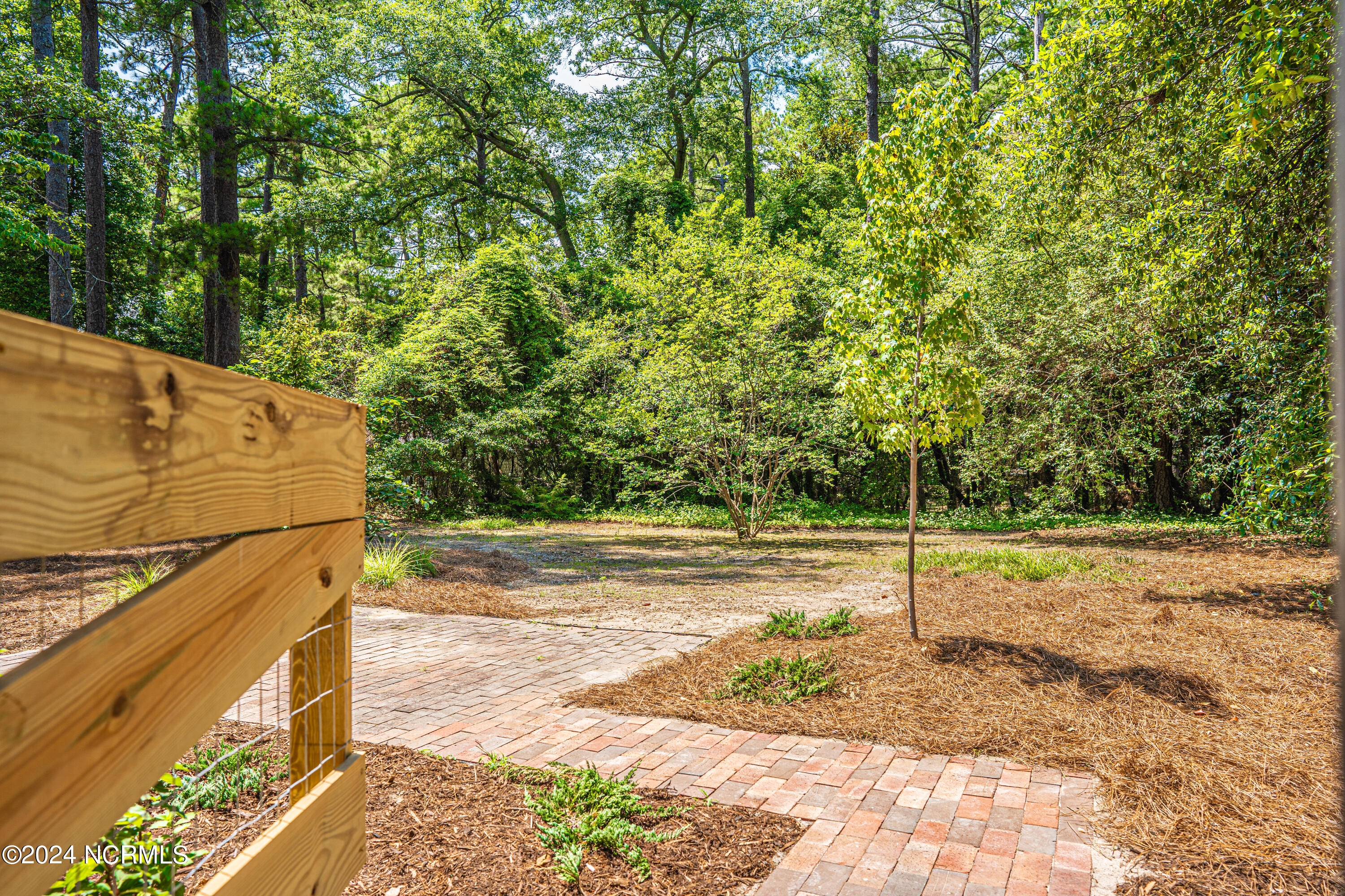 440 South Ridge Street Southern Pines, NC 28387 - Photo 29 of 39 Backyard