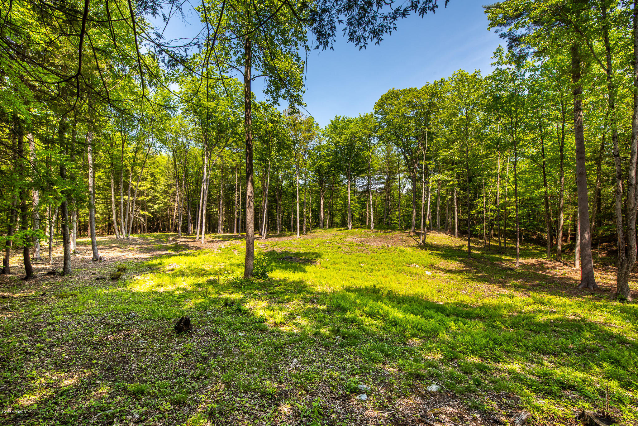 1 Campion Farms Road Stockbridge, MA 01262 - Photo 1 of 6 BUCOLIC BUILDING SITE