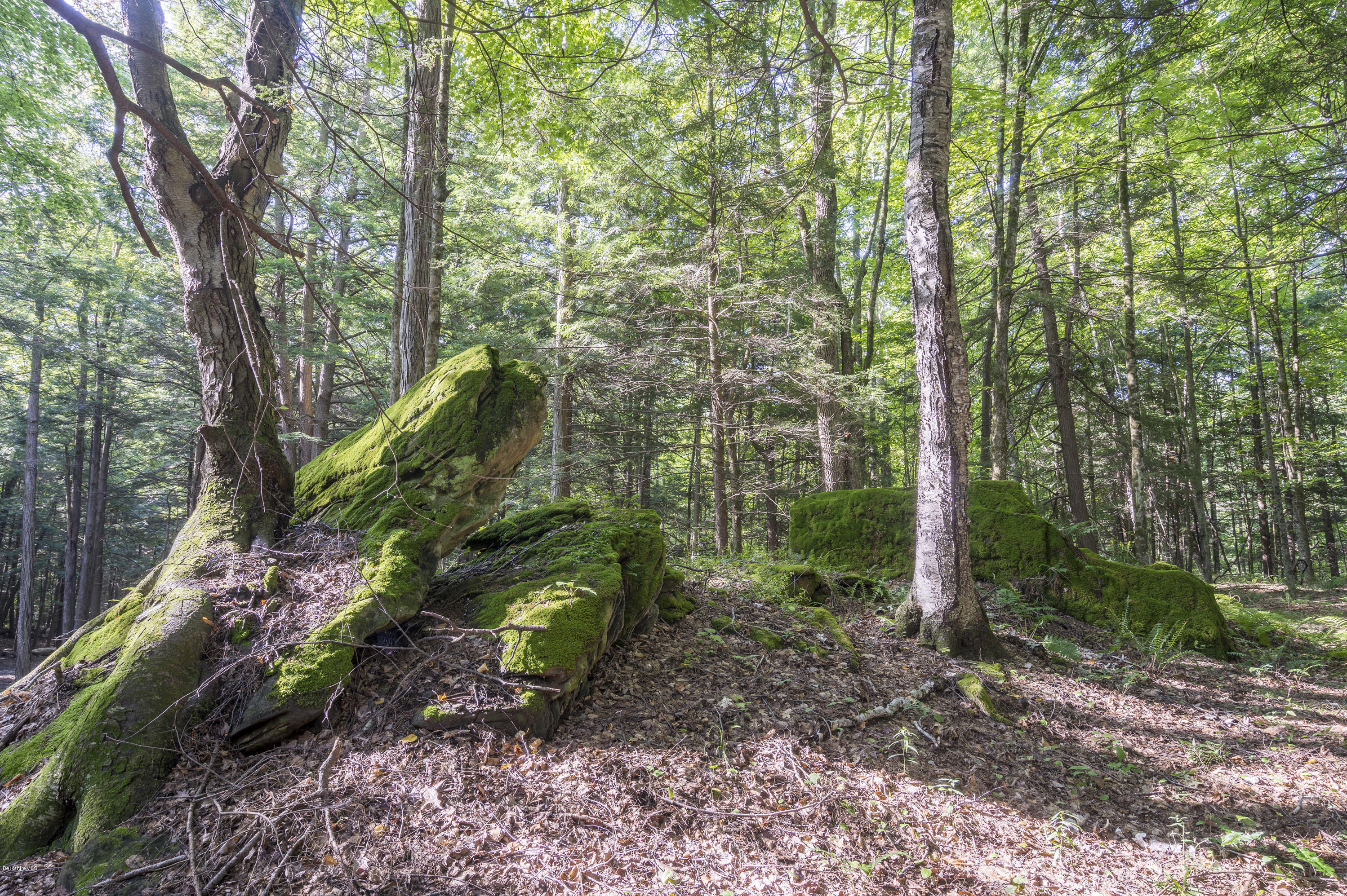 1 Campion Farms Road Stockbridge, MA 01262 - Photo 3 of 6 MOSS COVERED ROCKS