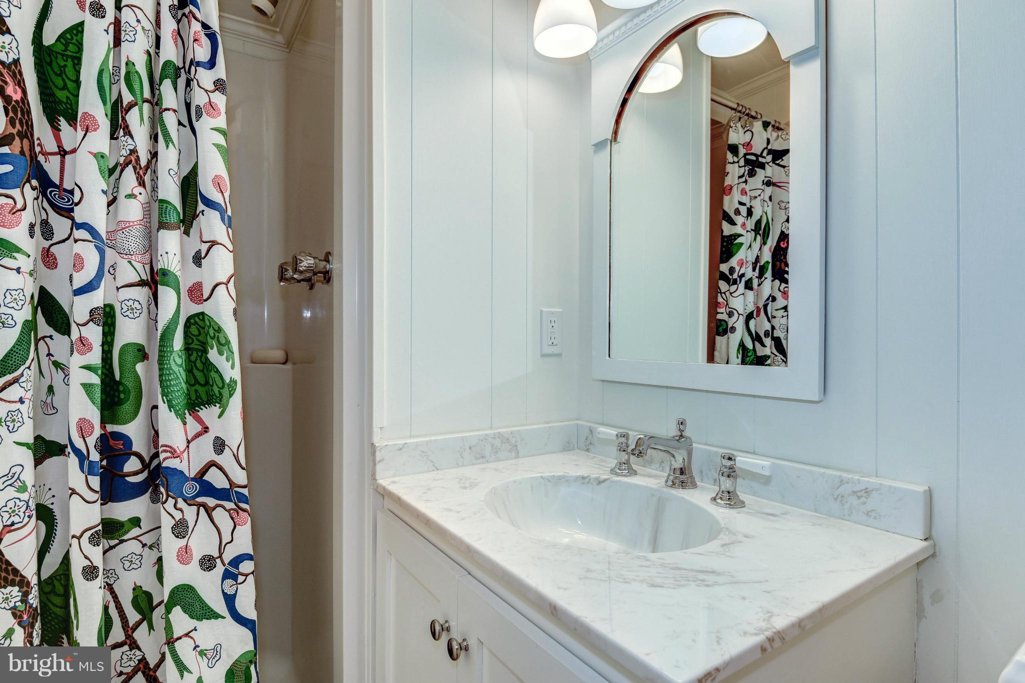 4907 Baltan Road Bethesda, MD 20816 - Photo 23 of 26 Lower Level Updated Full Bath