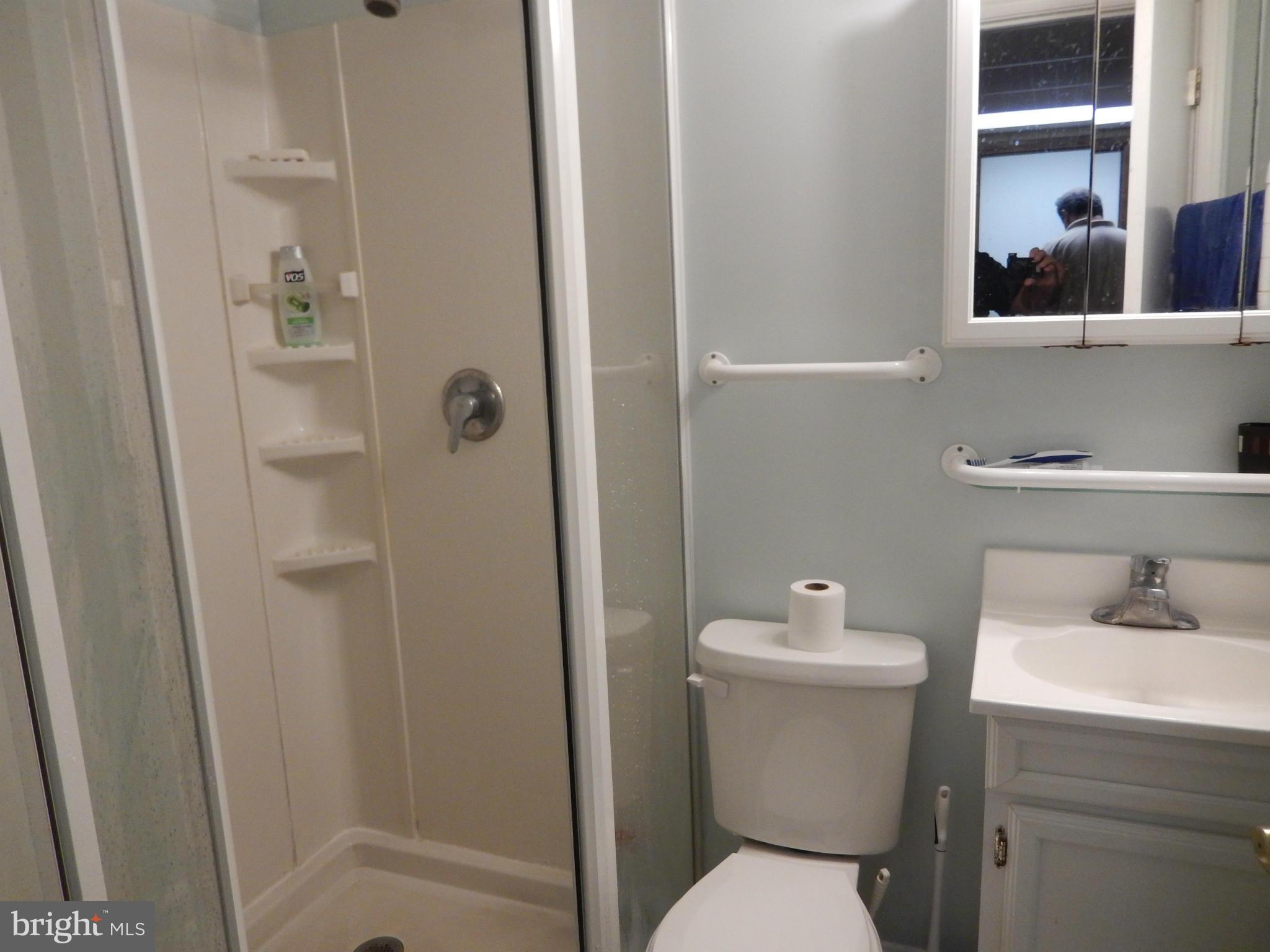 4472 Ruggles Court Annandale, VA 22003 - Photo 13 of 20 Bath Basement