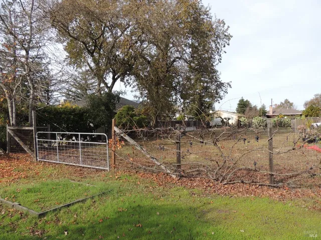 a view of a backyard with large trees