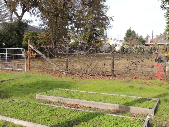 a view of a park with large trees