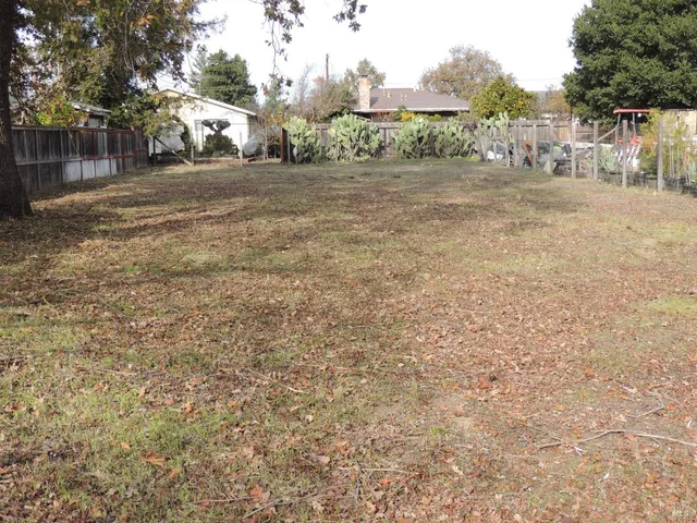 a view of road with large trees