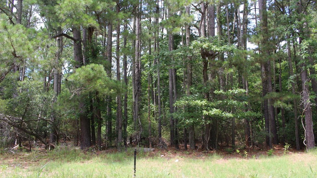 Lot 6 Hopkins Road, Unit 6A Parksley, VA 23421 - Photo 3 of 11