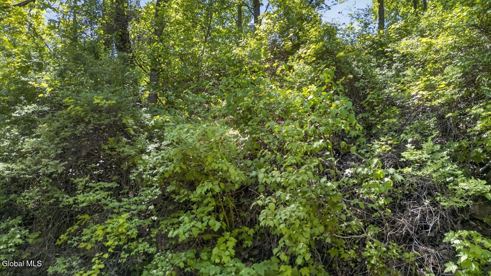 L2.01 L2.01 Willie Oneil Road Cherry Valley, NY 13320 - Photo 23 of 27 l2-01-willie-oneil-rd-cherry-valley-ny-p