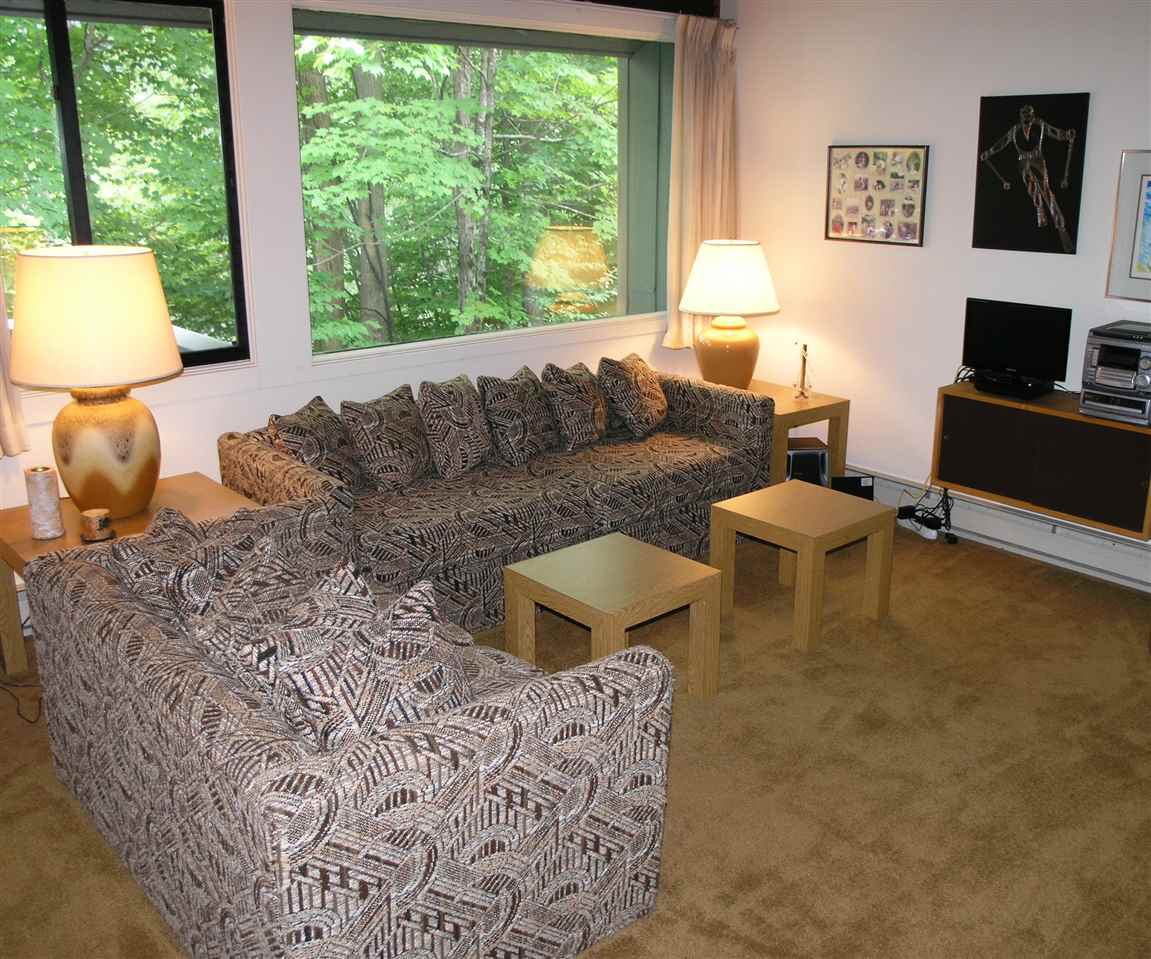 41-4 Whaleback Road, Unit 4 Lincoln, NH 03251 - Photo 4 of 32 Gallery Image 4