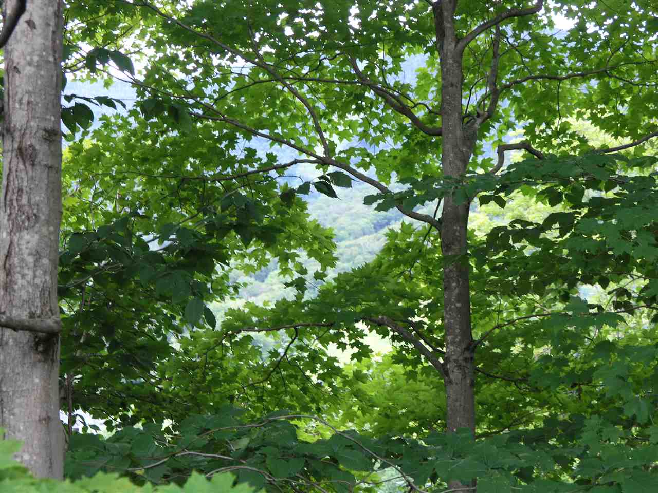 41-4 Whaleback Road, Unit 4 Lincoln, NH 03251 - Photo 6 of 32 Gallery Image 6