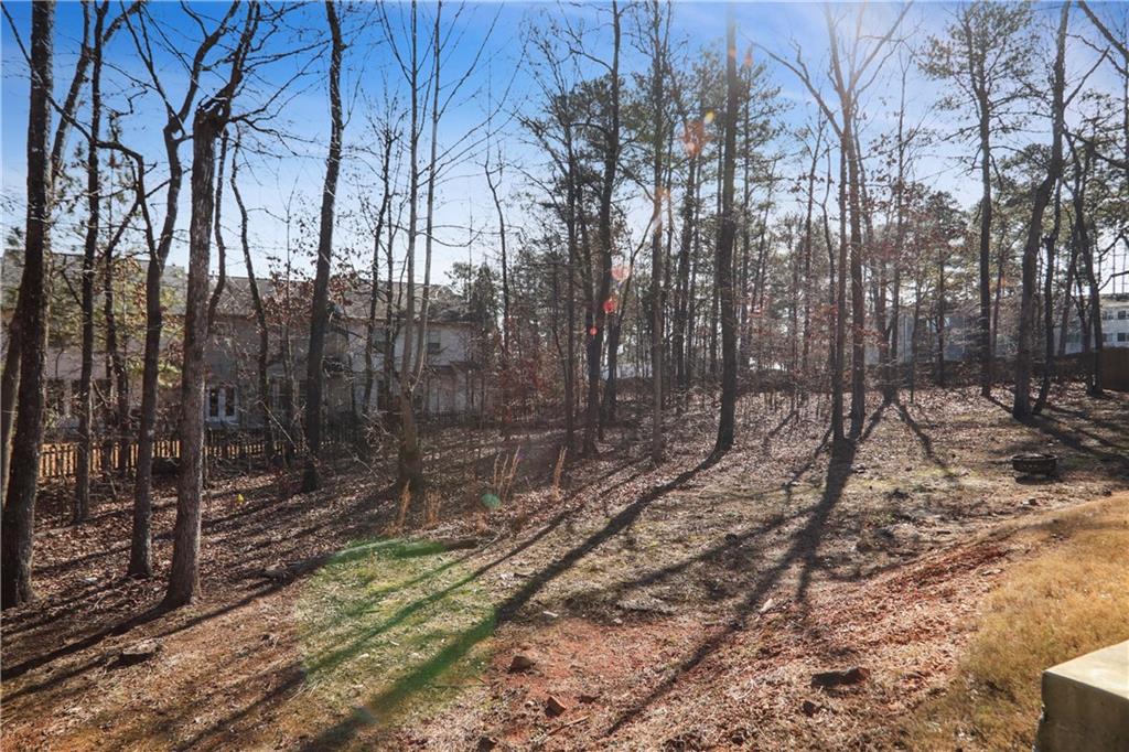 7139 Southface Way Southwest Austell, GA 30168 - Photo 26 of 27 a view of a forest with trees