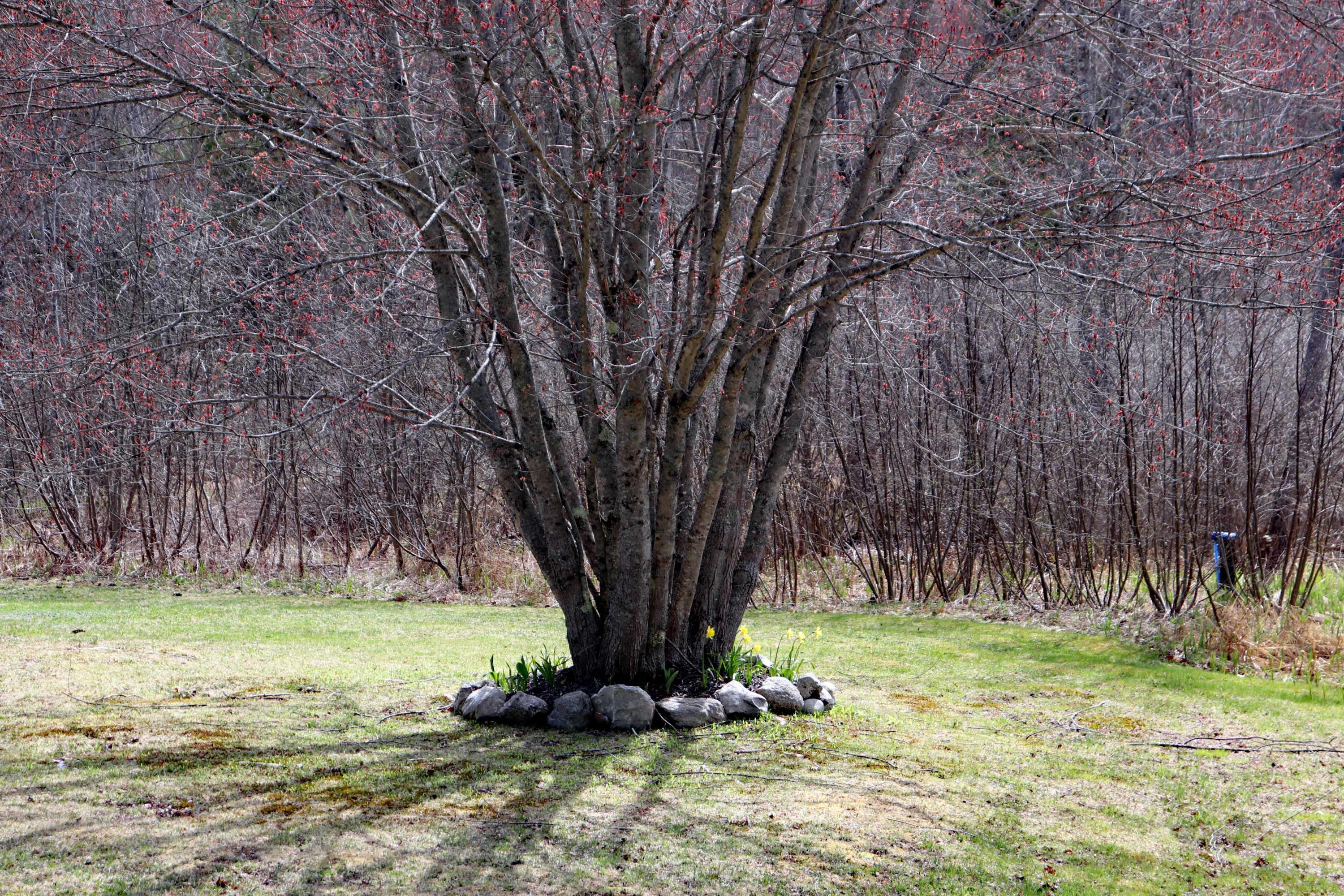 201 Meadow Hill Road Greene, ME 04236 - Photo 8 of 21 IMG_2469