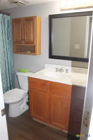 a bathroom with a sink a toilet and mirror