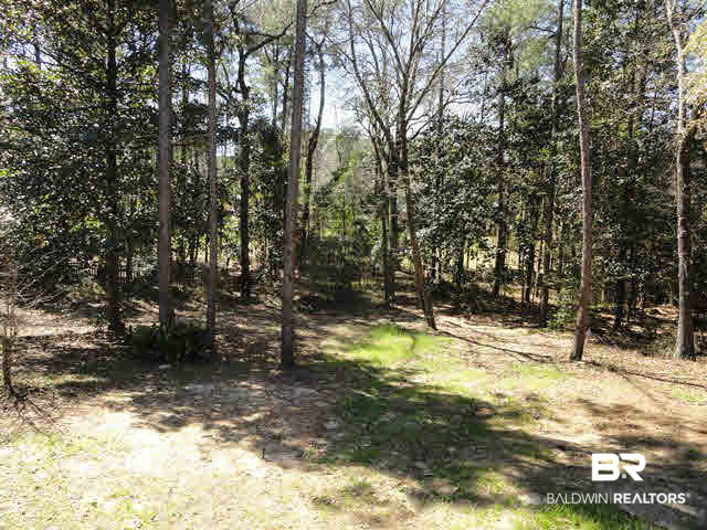119 General Canby Drive Daphne, AL 36527 - Photo 27 of 34 Private Back Yard