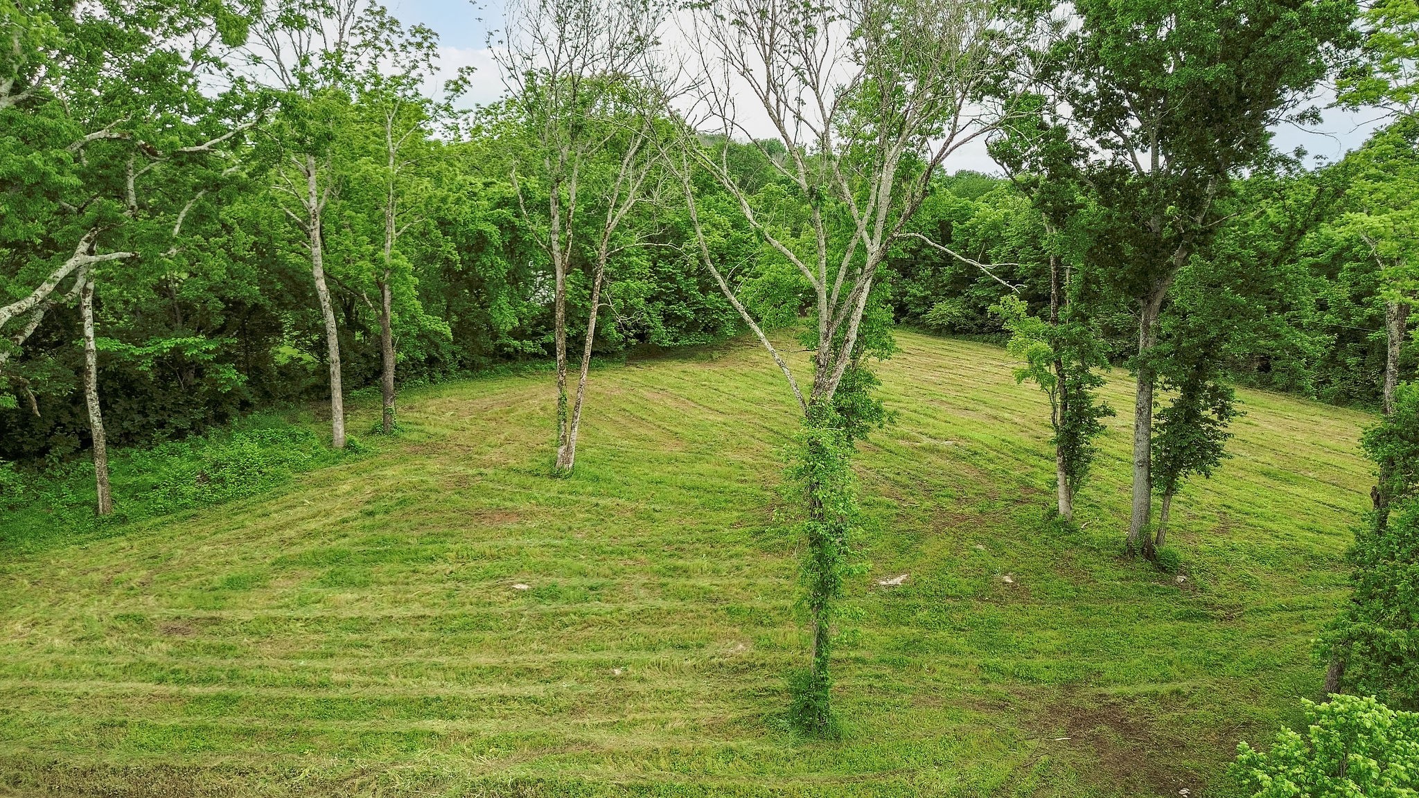 3309 Blazer Road Franklin, TN 37064 - Photo 31 of 32 a view of an outdoor space and trees