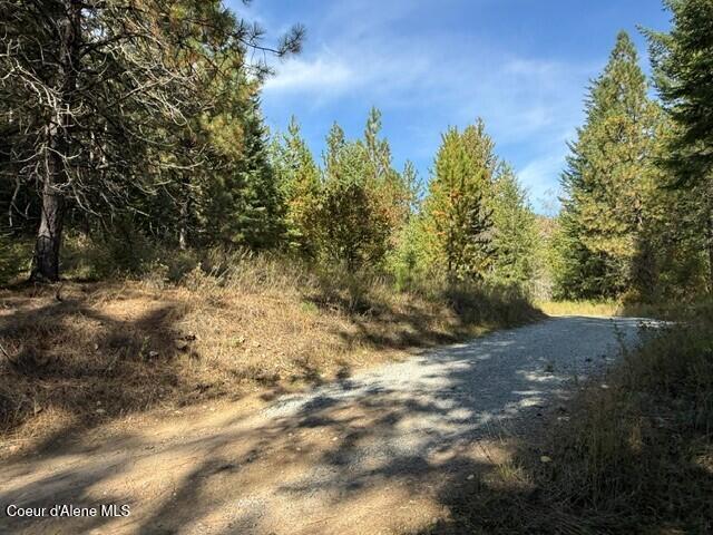 788 Gold Cup Mountain Road Laclede, ID 83841 - Photo 3 of 14 Building Site