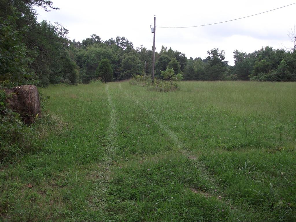 1 Freemont Road Coalmont, TN 37313 - Photo 4 of 4 Land (4)