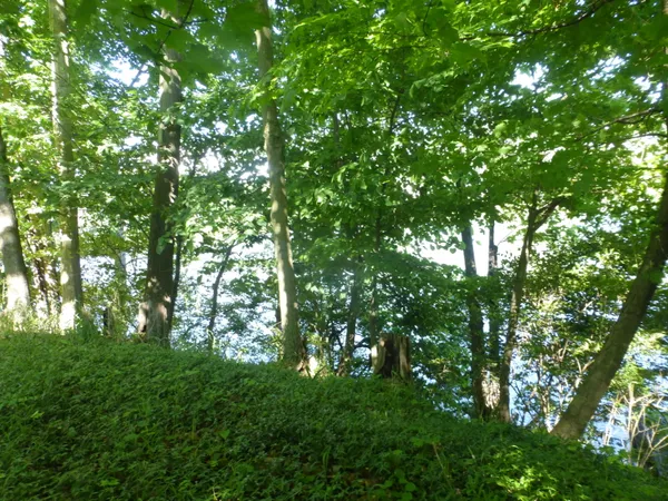 $160,000 | 509 North State Street, Niles, MI 49120