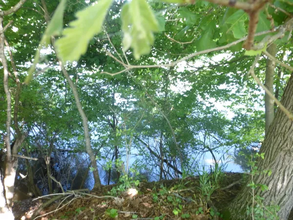 $160,000 | 509 North State Street, Niles, MI 49120