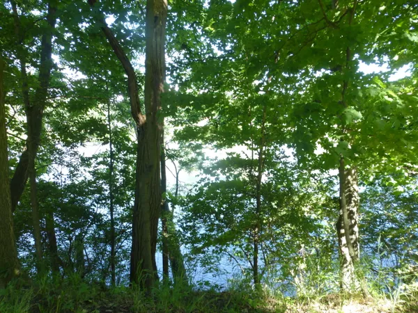 $160,000 | 509 North State Street, Niles, MI 49120