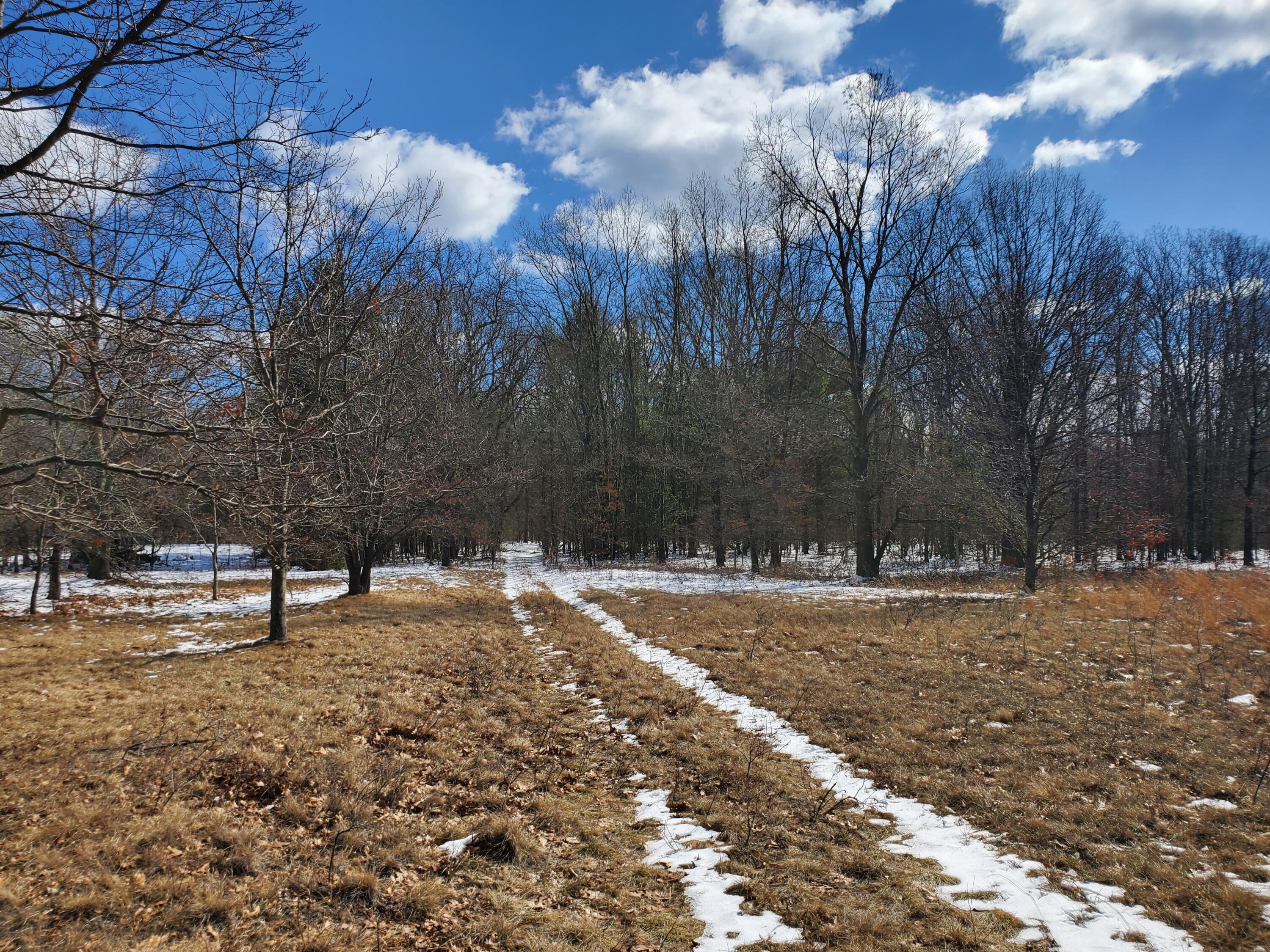 10756 Sikkenga Road Montague, MI 49437 - Photo 22 of 39 20220311_111508