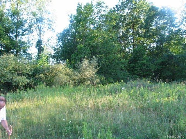14 Reds Way Howell, MI 48855 - Photo 4 of 4 13.91 Acres Reds Way