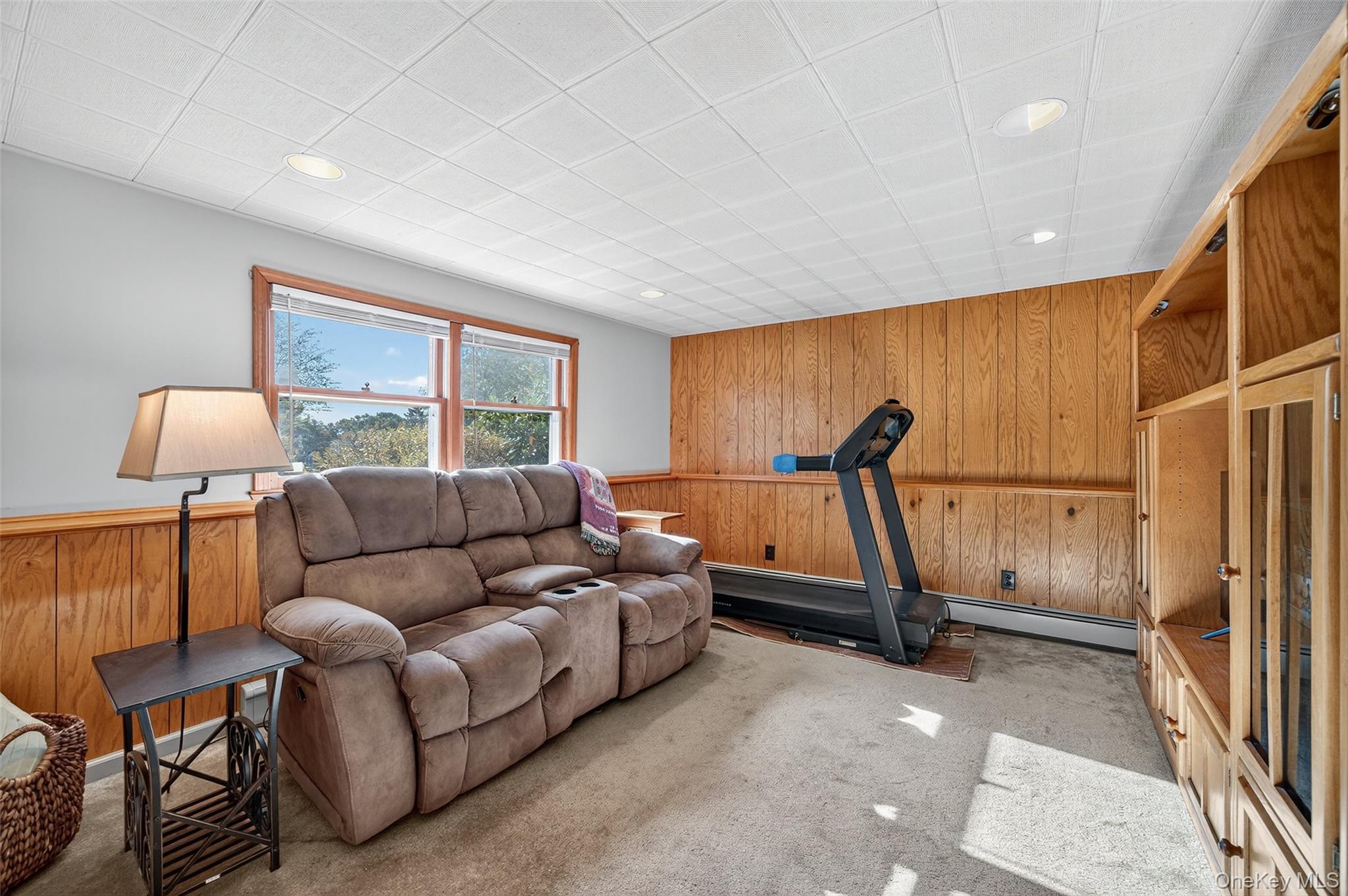 18 Rondack Road Middletown, NY 10941 - Photo 23 of 33 Living area with wood walls, carpet, wainscoting, recessed lighting, and baseboard heating