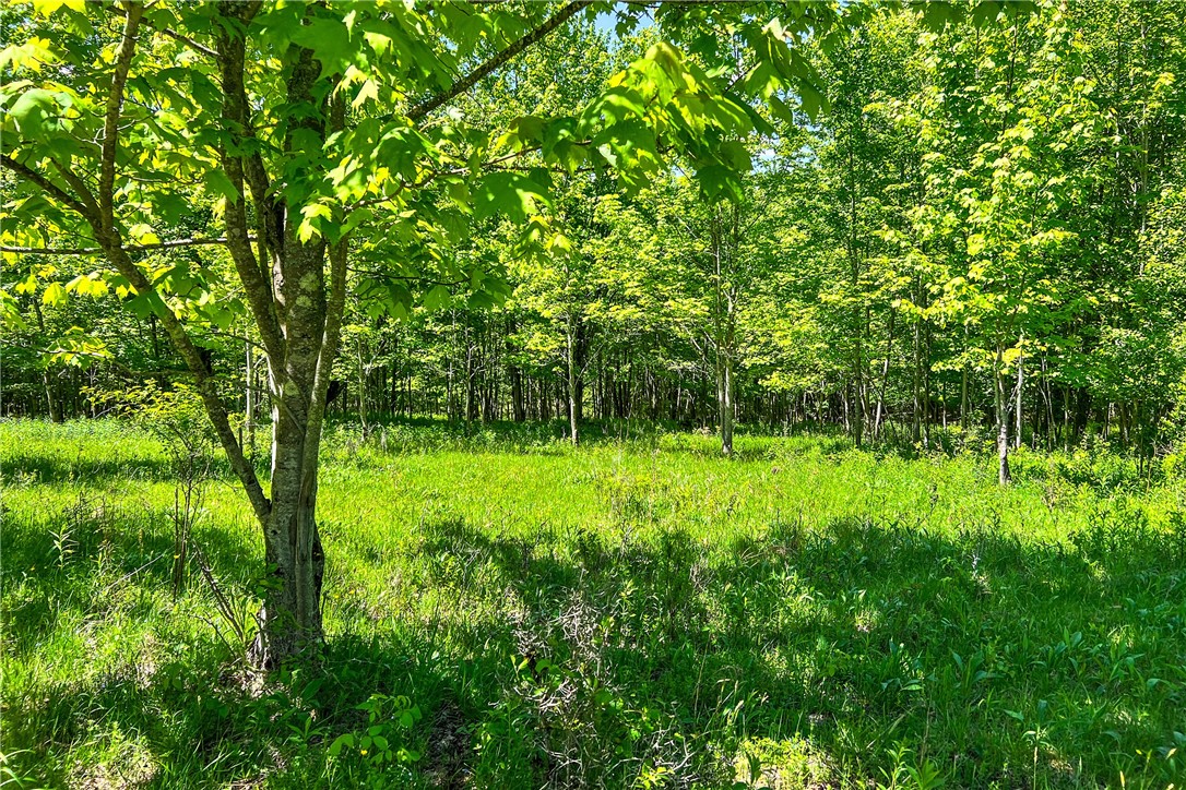 26 Federal Hill Road Delhi, NY 13753 - Photo 16 of 50