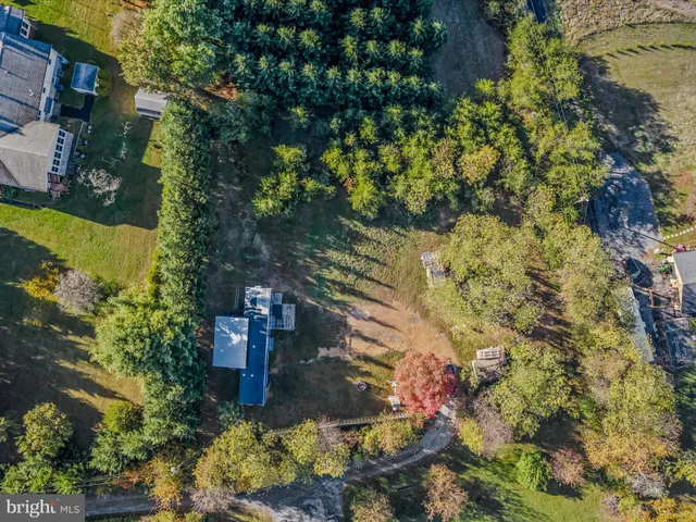 a view of a yard with plants