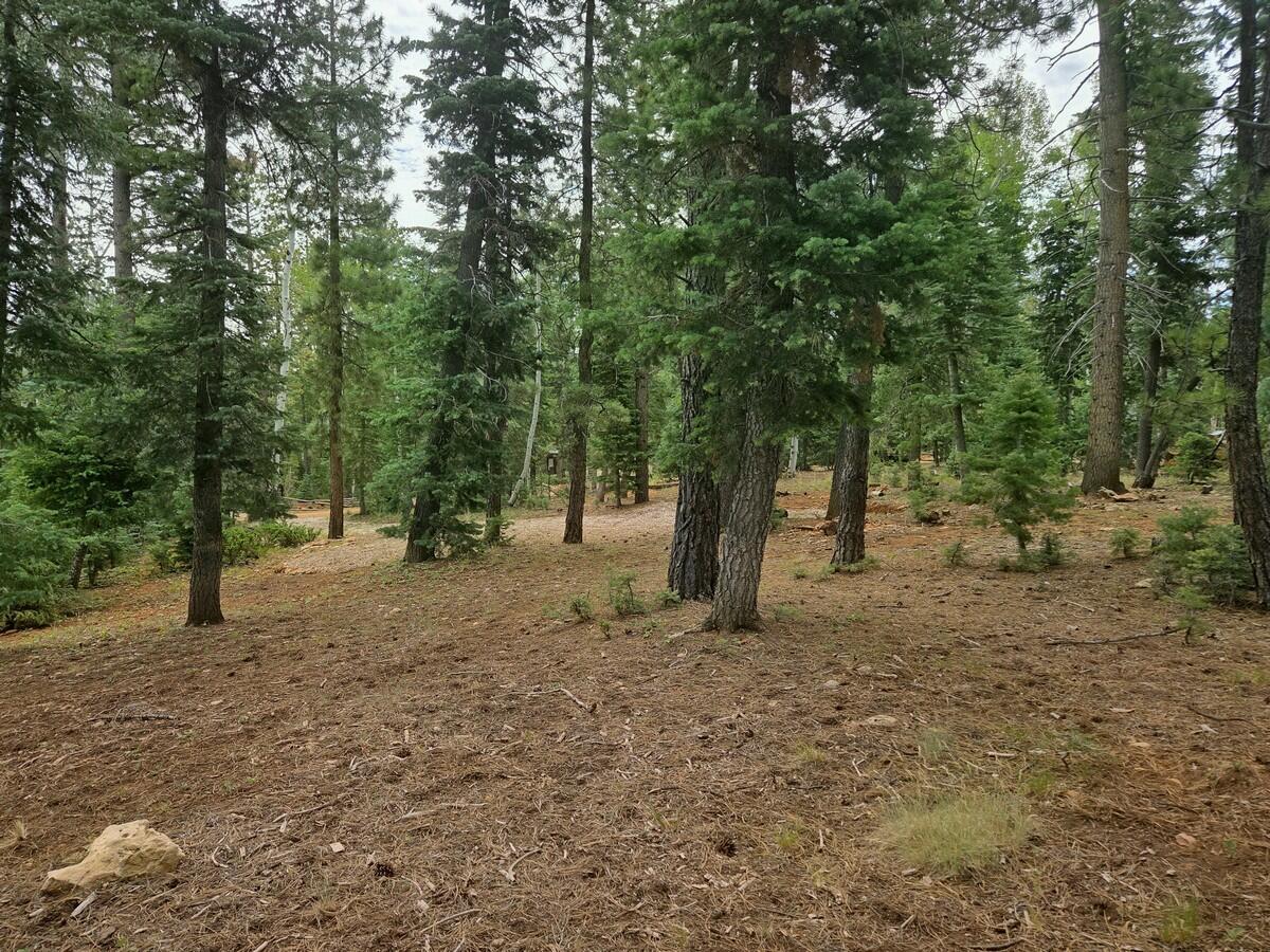 3135 Power Line Road Duck Creek Village, UT 84762 - Photo 6 of 14 Of the Lot2
