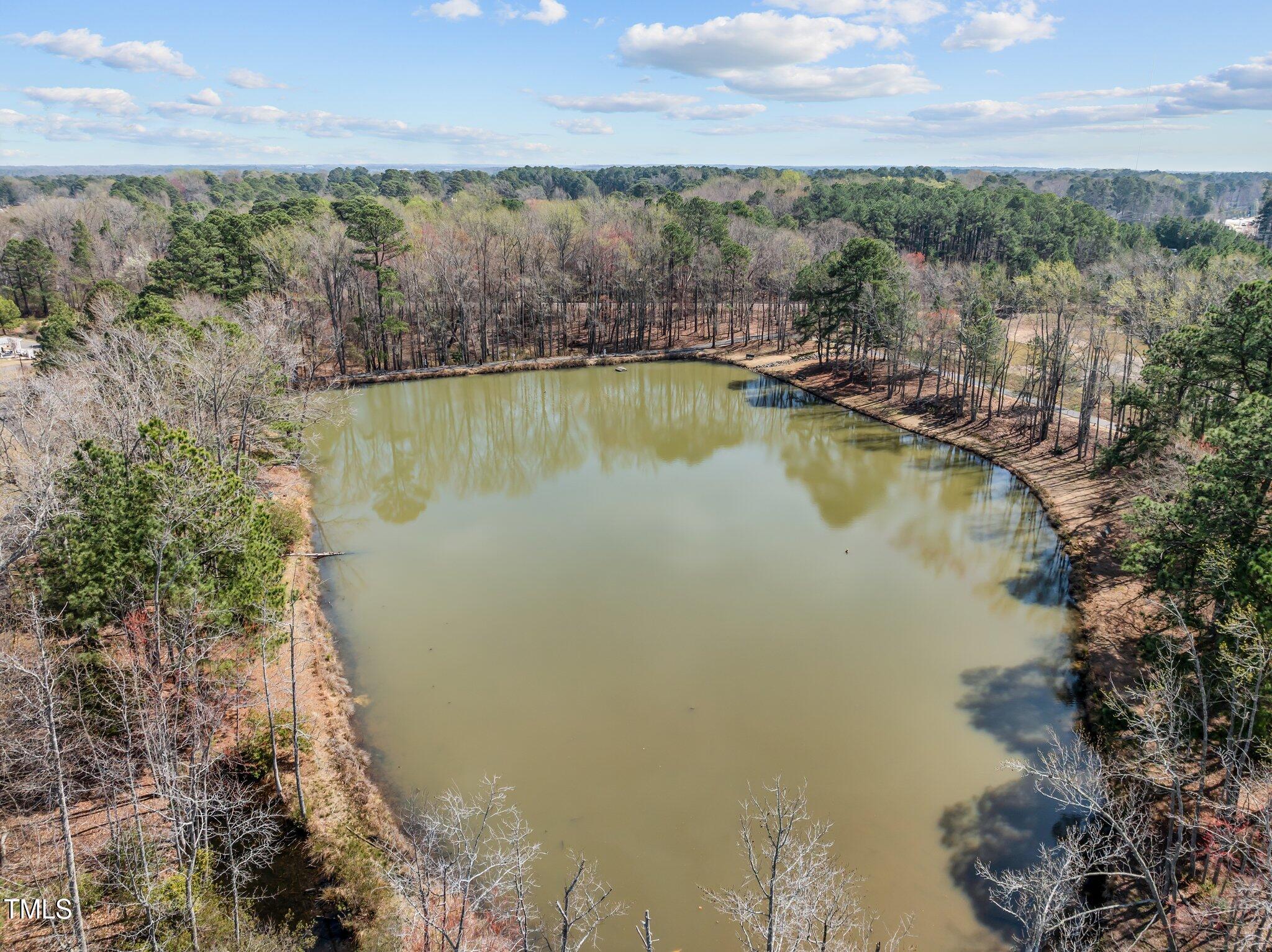 1086 Tender Drive Apex, NC 27502 - Photo 35 of 35 a view of a lake with a mountain in the background
